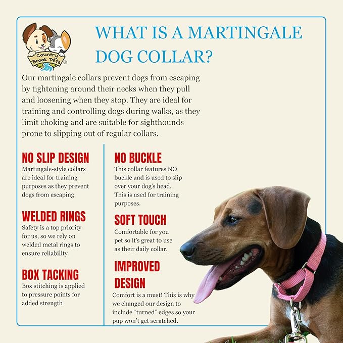 Country Brook Petz - Martingale Dog Collar - Heavy-Duty Training Collar with No Buckle - Service Dog Collar for All Pups - 10+ Warm Colors (Pink, 1 Inch, Large)