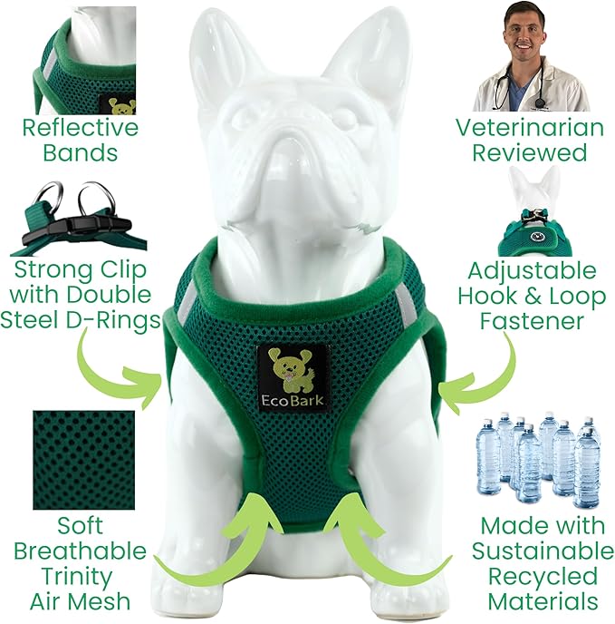 EcoBark Dog Harness - Teacup Dog Harnesses for XXXS, XXS, XS, and Small Dogs - Step in Soft Mini Body Halter - Puppy Harness- Toy Breed Dog Harness Vest Under 5 pounds lbs (XXXS, Forest Green)