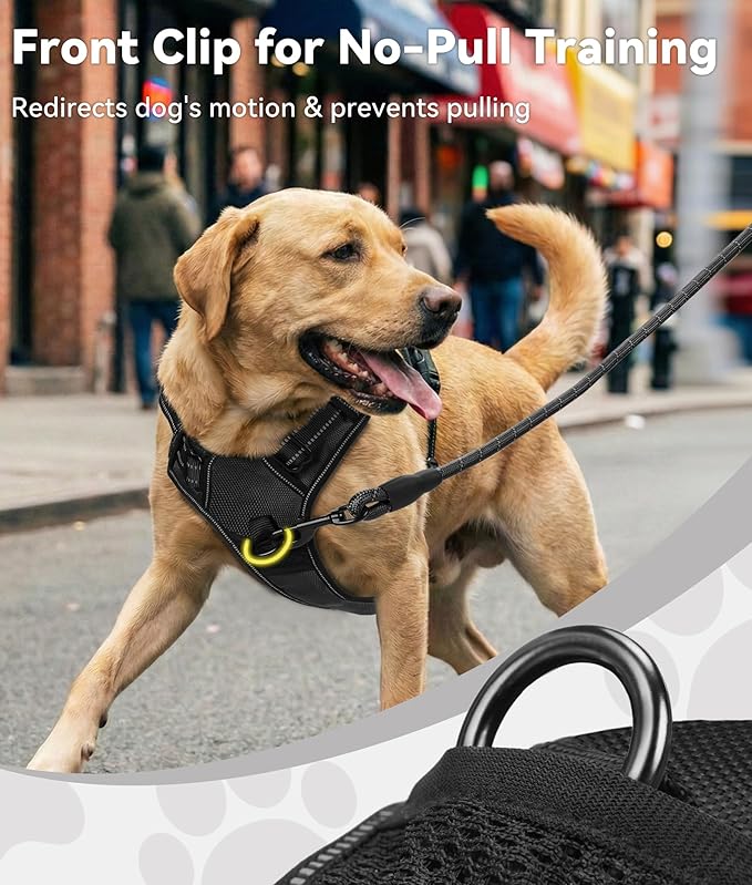 Joytale No Pull Dog Harness for Small Dogs, Reflective Pet Vest with Front Clip, Adjustable Soft Padded Harnesses with Easy Control Handle for Training and Walking, Black, S
