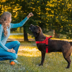 Red No Pull Dog Harness for Small Medium Large Sized Dog, Reflective Escape Proof Adjustable Dog Harnesses with 2 Patch, L