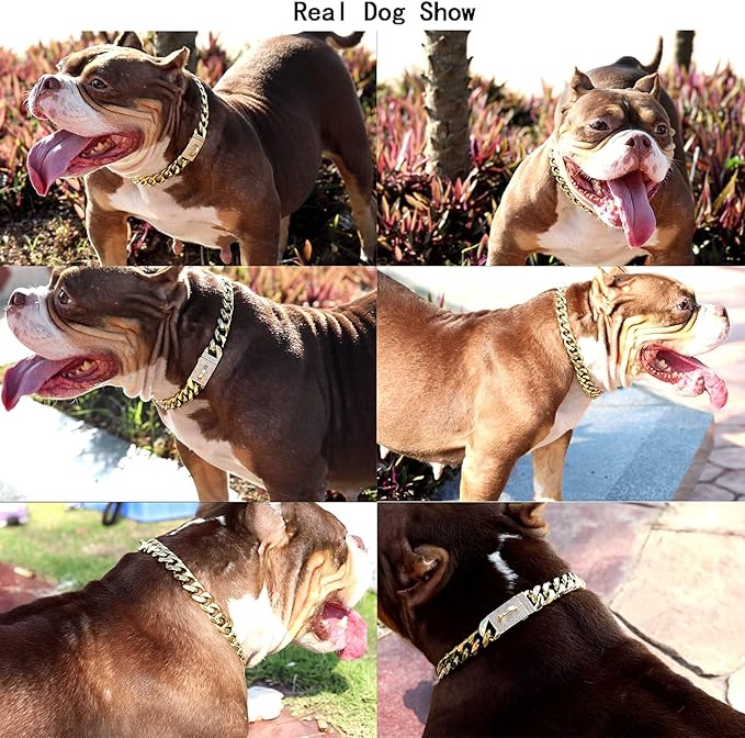 New Gold Dog Chain Collar with Bling Zircon Buckle,19MM Strong Stainless Steel Cuban Link Chain Collar,Dog Necklace Collar for Small Medium,Large Dogs