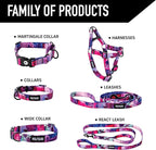 Wolfgang Heavy Duty Martingale Dog Collar with Quick Release Nylon Buckle for Walking & Training, Daydream Print, Large