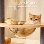 HITTITE Solid Wood Cat Tree Tower with Scratching Post, 37.8 Inches Tall Cat Towers with Scratching Board and Scratcher Ball, Modern Cat Tower With Space Capsule and Removable Top Bed for Indoor Cats.