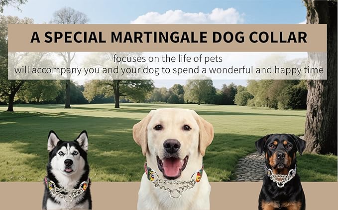 Martingale Dog Collar with Chain Stainless Steel, Nylon Dog Collar Flowers Pattern, Adjustable Training Walking Collar with Quick Release Buckle, Slip Chain Collar for Puppy Medium Large Dogs