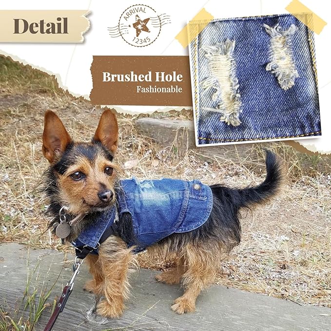 Cool Dog Jean Jacket Small Puppy Outfits Frenchie Clothes Denim Coats for Small Medium Dogs Cats Boys Girls Pet Vest Dog Shirt Clothing Doggy Costume (Blue, XXL（Suggest 15-20 lbs）)