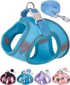 Dog Harness for Small Medium Sized Dog, Step in Puppy Harness and Leash Set Training Walking. (Blue, XXS)