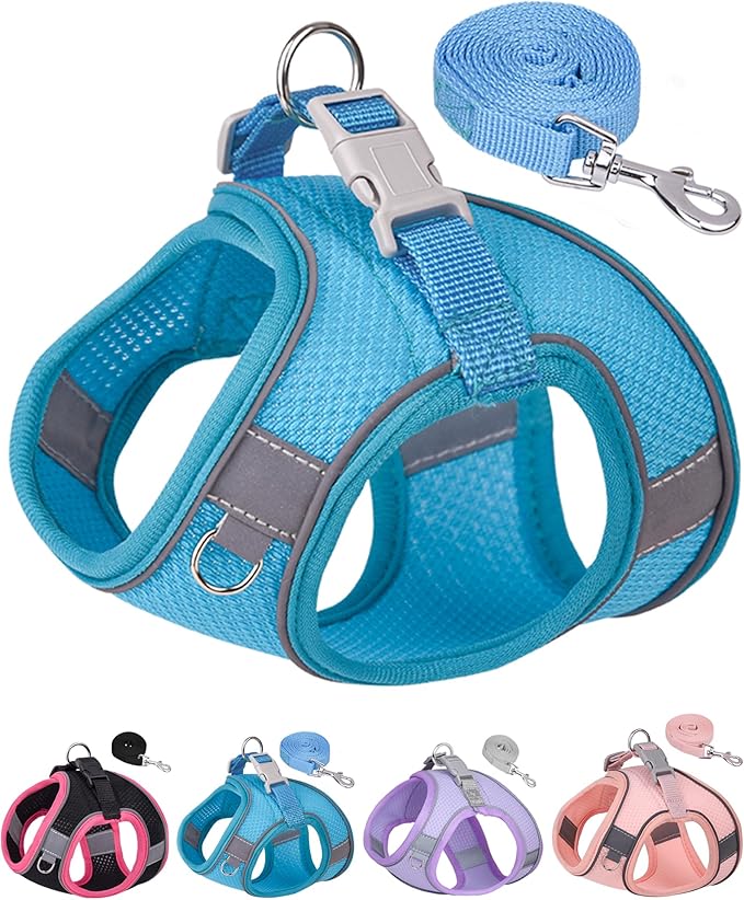 Dog Harness for Small Medium Sized Dog, Step in Puppy Harness and Leash Set Training Walking. (Blue, M)