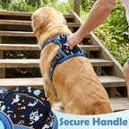 Funfox Dog Harness No Pull, Adjustable Pet Vest Harness, Super Soft Material with Vertical Handle Easy Control, Reflective Night Walking, 2 Leash Clips for Small Sized Dogs, Mosaic Blue, S