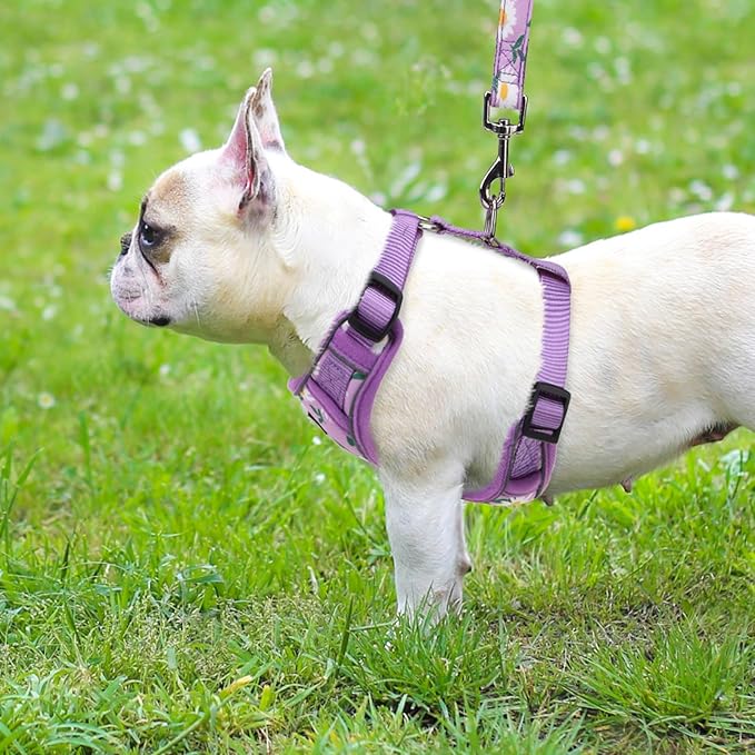 PUPTECK Small Dog Harness and Leash Set, No Pull Adjustable Puppy Cat Harness, Reflective Soft Mesh Pet Vest Small Sized, Daisy, S