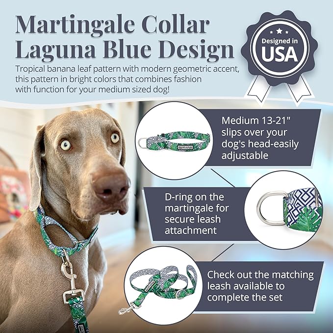 Lucky Love Dog Martingale Collar, Premium No Slip Martingale Collar for Medium Boy Dogs, Great for Whippets, Greyhounds, and More (Medium, Blue Laguna)