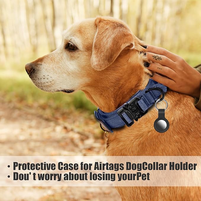 Tactical Nylon Dog Collar - Heavy Duty Metal Buckle with Handle for Dog Training, with Patches (Blue, L)
