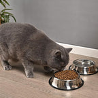 2Packs Stainless Steel Dog Bowl with Anti-Skid Rubber Base for Small/Medium/Large Pet, Perfect Dish, Pets Feeder and Water Choice Puppy Cat Kitten (8oz)
