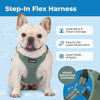 Best Pet Supplies Voyager Adjustable Step-in Flex Breathable Mesh Dog Harness for Small Medium Large Dogs Moss Green, M