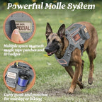 rabbitgoo Tactical Dog Harness Medium Sized, Heavy Duty Pet Harness with Handle, No-Pull Service Vest Medium Breed, Adjustable Military Dog Vest for Training Hunting Walking, Grey, M