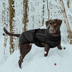 IECOii Extra Warm Reflective Dog Jacket - Adjustable Dog Winter Coat with Buckle & Soft Fleece for Small, Medium & Large Dogs