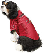 Littlearth NFL Stretch Pet Jersey- Officially Licensed Teams, Available Size XS to XL