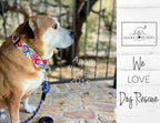 Lucky Love Dog Wide Martingale Dog Collar - No-Slip, Durable, & Soft Webbing 1.5 inch Martingale Collar for Dogs Male and Female Ideal for Training & Walking - Ladybird, Large