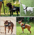 Lukovee No Pull Dog Harness & Leash Set - Heavy Duty Dog Vest Harness with Soft Padded for Medium Large Dogs, Adjustable Reflective Tactical Pet Harness for Easy Walk and Training (S, Black)