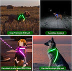 ChalkLit Light Up Dog Harness, No Pull Led Dog Harness Glow-in-The-Dark for Night Walking, USB Rechargeable Lighted Safety Vest for Small Dogs, Adjustable Soft Mesh Fully Illuminated (Green, Small)