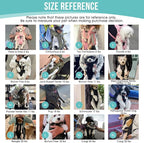 Lukovee Dog Backpack Carrier, Legs Out Easy-fit Dog Front Carrier for Small Medium Dogs, Adjustable Hands Free Dog Chest Carrier for Hiking Cycling (B,Small)