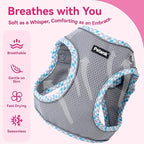 Petank Dog Harness for Small Medium Dogs No Pull, Puppy Harness and Leash Set for Walking, Running, Training, Small Dog Harness, Medium Dog Harness (Grey, M)
