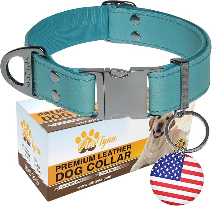 ADITYNA Leather Dog Collar with Metal Buckle - Heavy-Duty, Adjustable for Medium & Large Dogs - Walking, Training, Hiking (Blue, Fits 15-21" Necks)