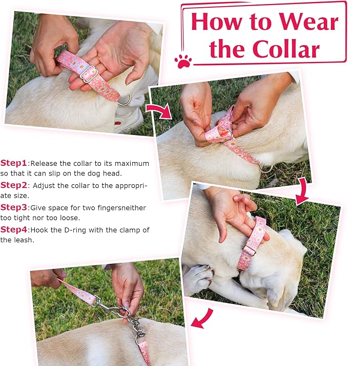 Choker Martingale Collar for Dog, No Pull Slip Chain Collar Training Escape Proof Heavy Duty Dog Collar for Extra Large Medium Large Pet Girl Female Dogs, Purple Floral L