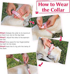 Martingale Dog Collar with Chain, No Pull Slip Cinch Choker Choke Collar Pink Strawberry Duty Dog Collar for Medium Large Extra Large Pet Dogs,Strawberry M