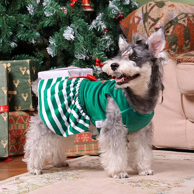 CuteBone Elf Dog Dresses Velvet Holiday Small Dogs Clothes Onesie Pet Apparel Girl Puppy Skirt with Bow Hair Rope CVA55XXS-D