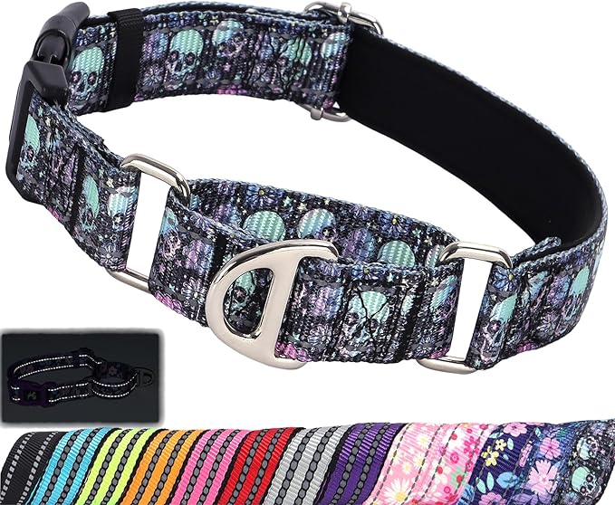 Martingale Collar for Dogs - Reflective Nylon with Padded Comfort & Quick Release Buckle - Skull Design, No Slip Choke Heavy Duty Collar for Safe Training, Walking & Nighttime Use L