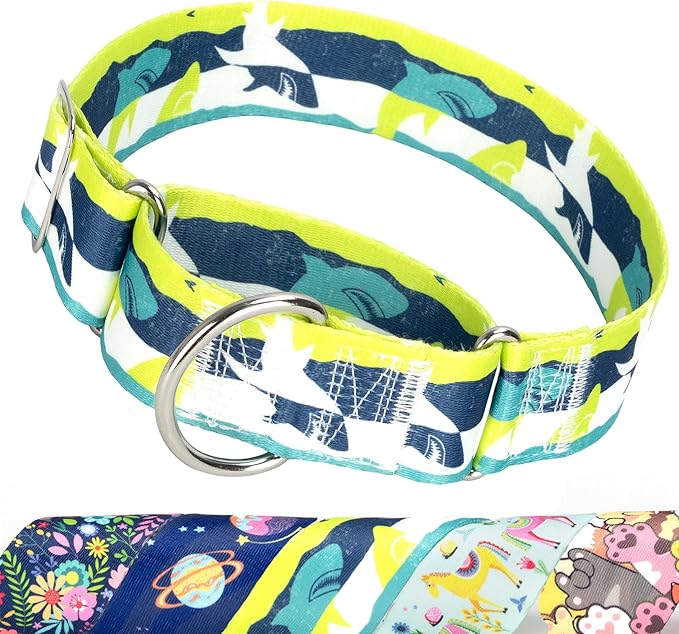 Wide Martingale Collar for Large Dogs - 1.5 Inch Shark Pattern No Pull Escape Proof Dog Collar, Adjustable Comfort Training Collar(Shark X-Large)
