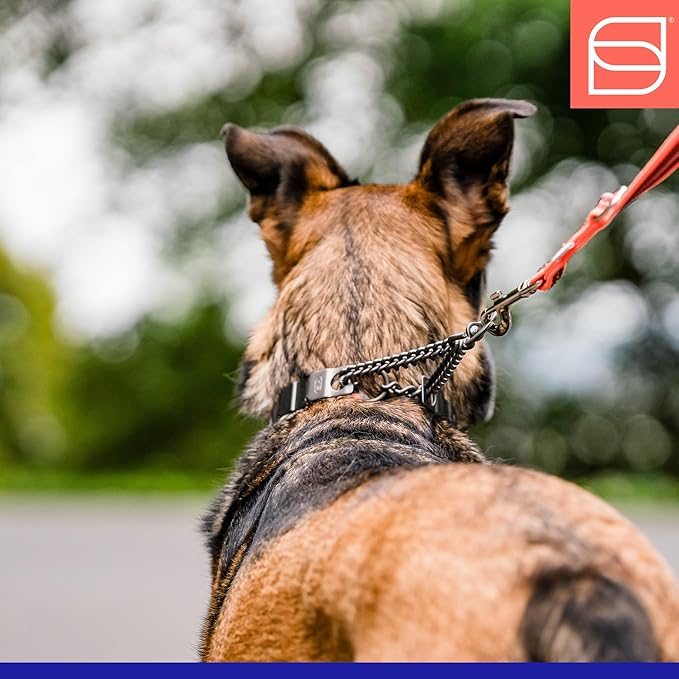 Herm. Sprenger NeckTech Fun Dog Training Collar with Quick Release Snap and Swivel, Anti Pull Collar, Stainless Steel Black (23" Neck Size; 25" Chain Length)