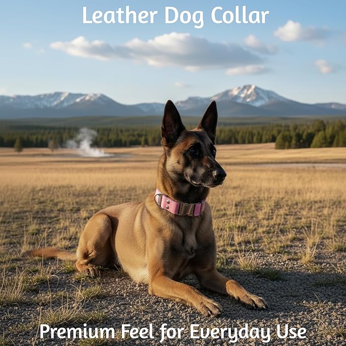 ADITYNA Pink Leather Dog Collar with Metal Buckle - Heavy-Duty, Adjustable for Medium & Large Girl Dogs (Pink, Fits 15-21" Necks)
