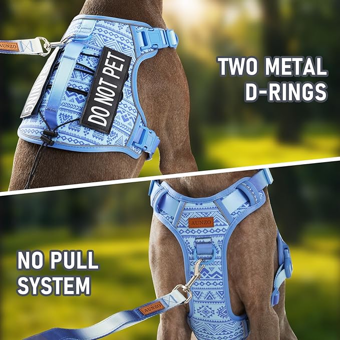 No-Pull Dog Harness for XS Dogs, Anti-Escape Easy Walking Reflective Adjustable Lightweight Dog Vest with Breathable Oxford Material, Easy On/Off with Neck Buckle, Blue XS