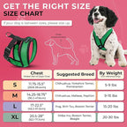 Gooby Comfort X Head In Harness - Hunter Green, X-Large - No Pull Small Dog Harness Patented Choke-Free X Frame - On the Go Dog Harness for Medium Dogs No Pull or Small Dogs for Indoor and Outdoor Use