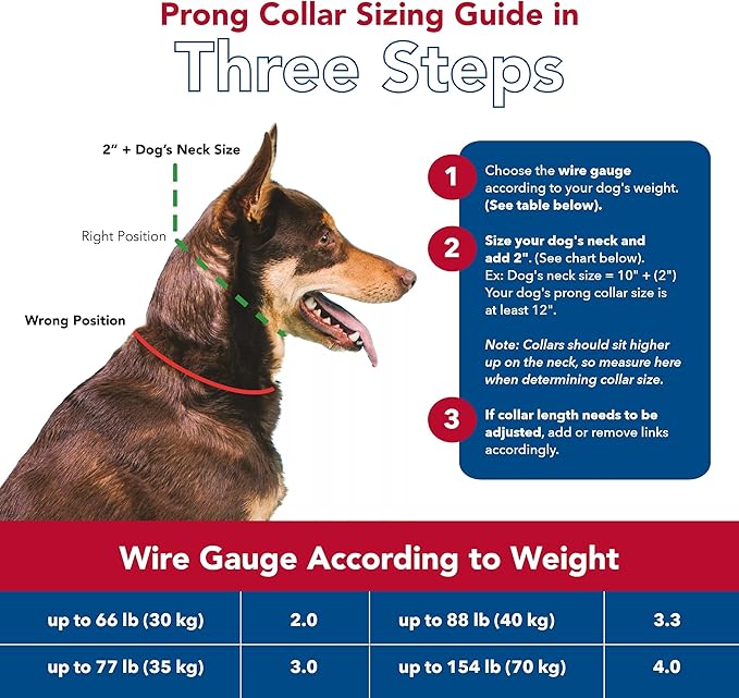 Coastal Pet Titan Dog Prong Quick Release Training Collar - Pet Training Collar for Dogs - Rust-Resistant Metal Dog Collar for Dog Training - Prong Dog Chain Collar - Quality Dog Supplies - 3 mm x 18"