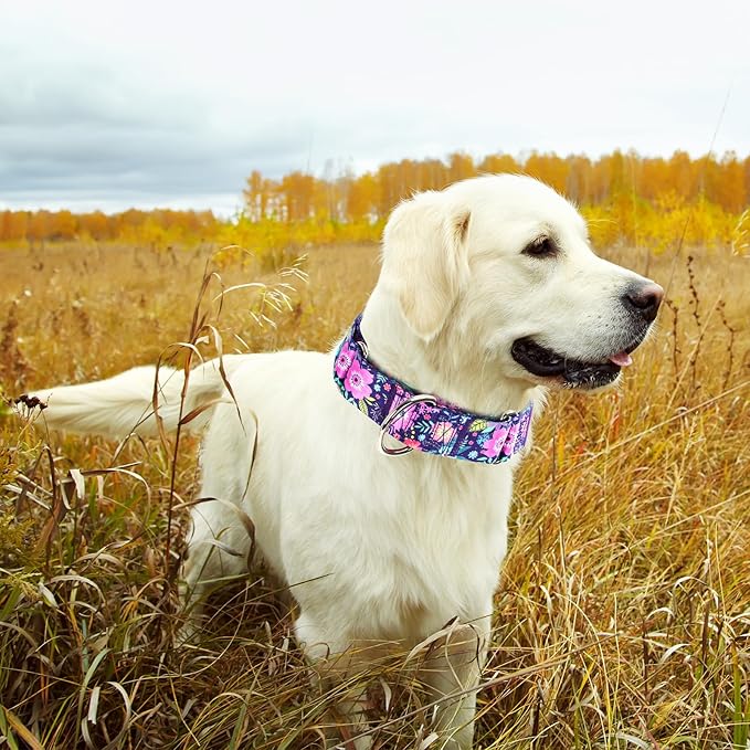 Martingale Dog Collar 1.5 Inch Wide - Bohemian Floral Print Adjustable Nylon No-Pull Training Collar for Large/XL Dogs, Heavy Duty Design for Walking, Hunting & Outdoor Activities (L)