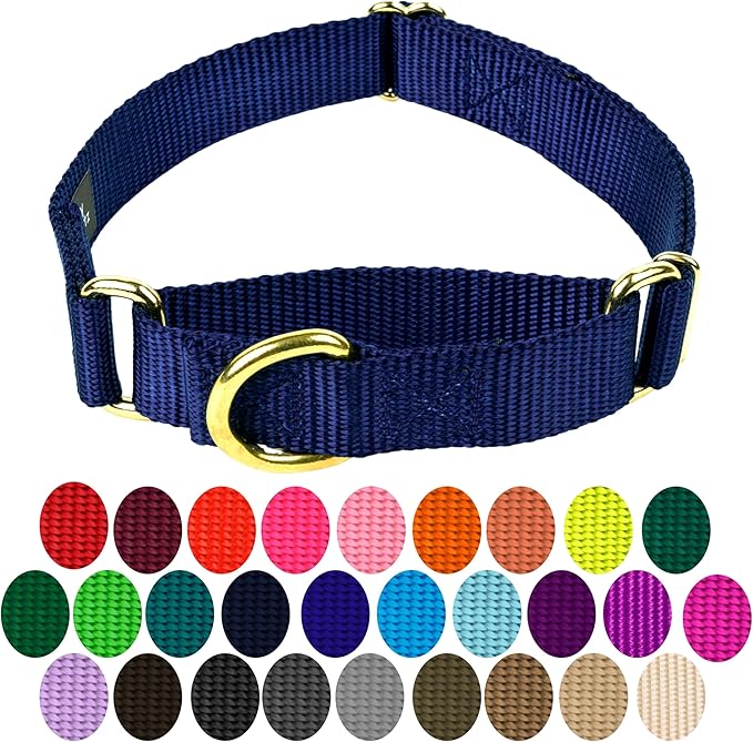 Country Brook Petz - Martingale Dog Collar - Heavy-Duty Training Collar with No Buckle - Service Dog Collar for All Pups - 10+ Cool Colors (Navy Blue, 3/4 Inch, Small)