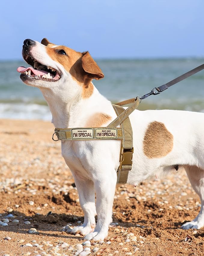 No Pull Dog Harness for Medium Large Dogs, Escape Proof Adjustable Dog Harness Brown Camo, M