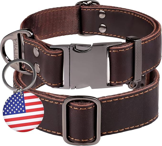 ADITYNA Leather Dog Collar with Metal Buckle - Heavy-Duty, Adjustable for Medium & Large Dogs - Walking, Training, Hiking (Brown, Fits 15-21" Necks)