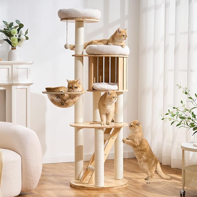 Modern Solid Wood Cat Tree for Indoor Cats Large Adult, 61.5in Tall Cat Tower with Sisal Scratching Posts, Ladder, Cozy Cat Beds, Semi-Open Cat Condo, Dangling Ball, Multi-Level Cat Furniture