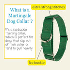 Country Brook Petz - Martingale Dog Collar - Heavy-Duty Training Collar with No Buckle - Service Dog Collar for All Pups - 10+ Cool Colors (Christmas Green, 5/8 Inch, Extra Small)