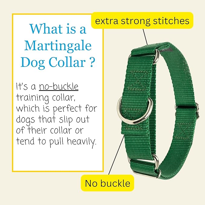Country Brook Petz - Martingale Dog Collar - Heavy-Duty Training Collar with No Buckle - Service Dog Collar for All Pups - 10+ Cool Colors (Christmas Green, 3/4 Inch, Small)