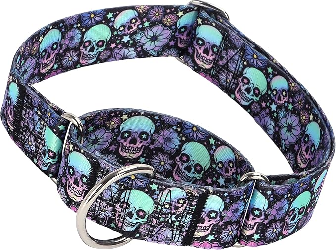 Martingale Dog Collar 1.5 Inch Wide - Heavy Duty Skull Design for Large Dogs, Adjustable Training Collar for Walking, Hunting, and Outdoor Activities - Perfect for Boys and Girls (XL)