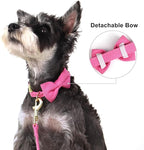 Beirui Adorable Small Dog Harness Collar and Leash Set,Cute Puppy Harness Set with 3 Bows for Small Dogs,Shih Tzu,Dachshund,Adjustable Step-in Vest for Walking,Parties&Holiday Outfits(Hot Pink,S)