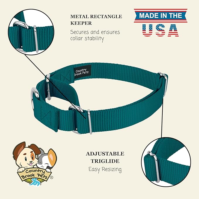 Country Brook Petz - Martingale Dog Collar - Heavy-Duty Training Collar with No Buckle - Service Dog Collar for All Pups - 10+ Cool Colors (Teal, 3/8 Inch, 2XS)