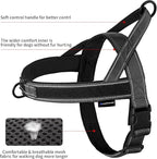 Annchwool No Pull Dog Harness with Padded Handle+5 Ft Leash,Reflective Strip Escape Proof and Quick Fit to Adjust Dog Harness,Easy for Training Walking for Small & Medium and Large Dogs(Black-Set,S)