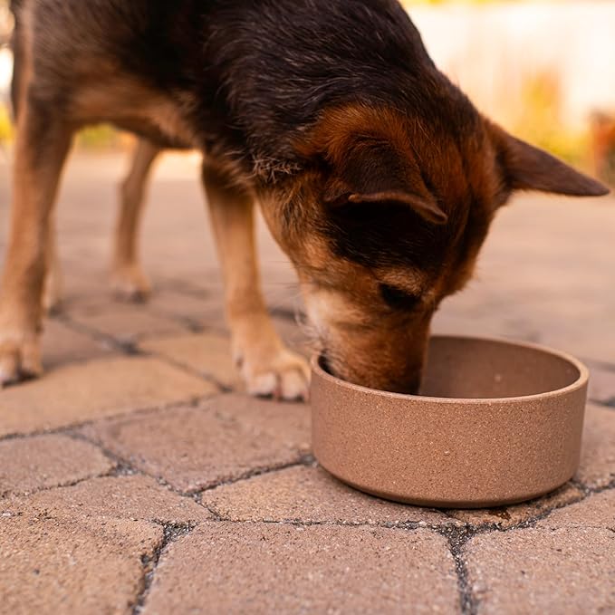Loving Pets - Dolce Bamboo - Eco-Friendly Pet Bowls & Dishes for Dog, Cats, Puppy Food and Water Dish -Sustainable and Dishwasher Safe, Made with Real Bamboo (Large, Coffee-Brown)