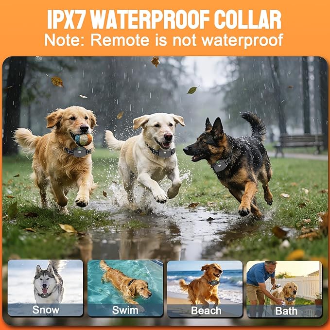 2-in-1 Dog Training Collar & Bark Collar, Safety Lock Remote, Adjustable Beep,Vibration & Shock,990ft Range,IPX7 Waterproof Dog Collar for 3 Dogs,Medium & Large,LED Light,Compass & Carabiner-2 Collars