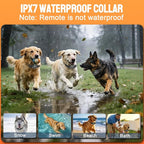 2-in-1 Dog Training Collar & Bark Collar, Safety Lock Remote, Adjustable Beep,Vibration & Shock,990ft Range, IPX7 Waterproof Dog Collar for 3 Dogs,Medium & Large,LED Light,Compass & Carabiner-1 Collar